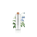 گلدان آپارتمانی پتوس - تصویر 5