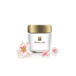 گل آپارتمانی فیکوس الاستیکا بلک - تصویر 2