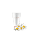 گلدان آپارتمانی پتوس - تصویر 2