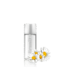 گلدان آپارتمانی یوکا بدون ساقه