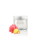 گل آپارتمانی فیکوس الاستیکا بلک - تصویر 3