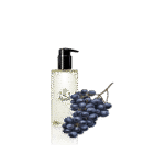 گلدان آپارتمانی یوکا بدون ساقه - تصویر 2